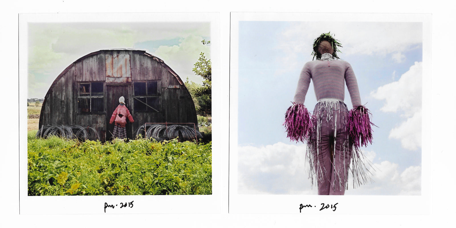 Giraffes and Scarecrows