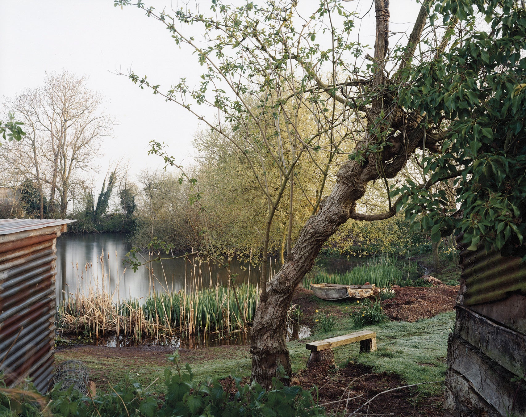The Pond at Upton Pyne