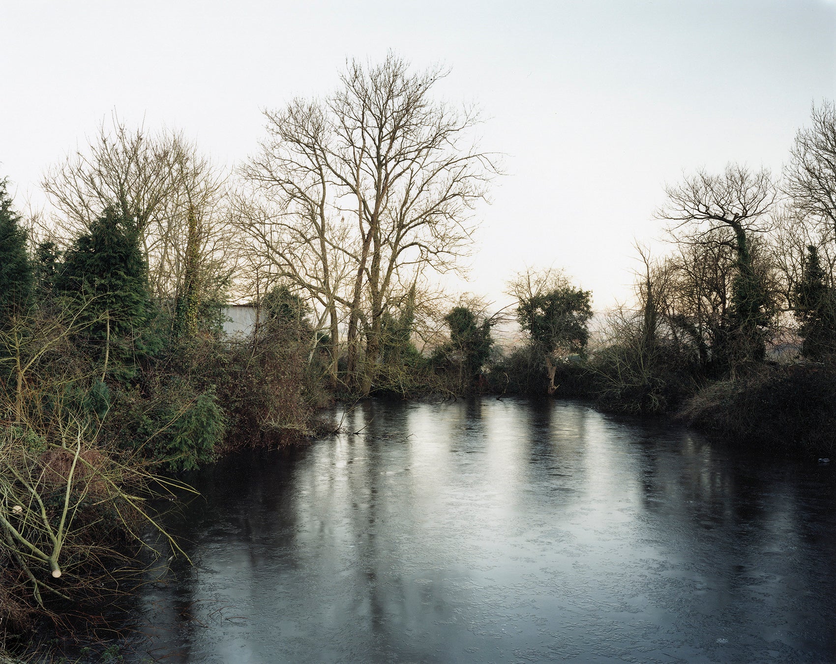 The Pond at Upton Pyne