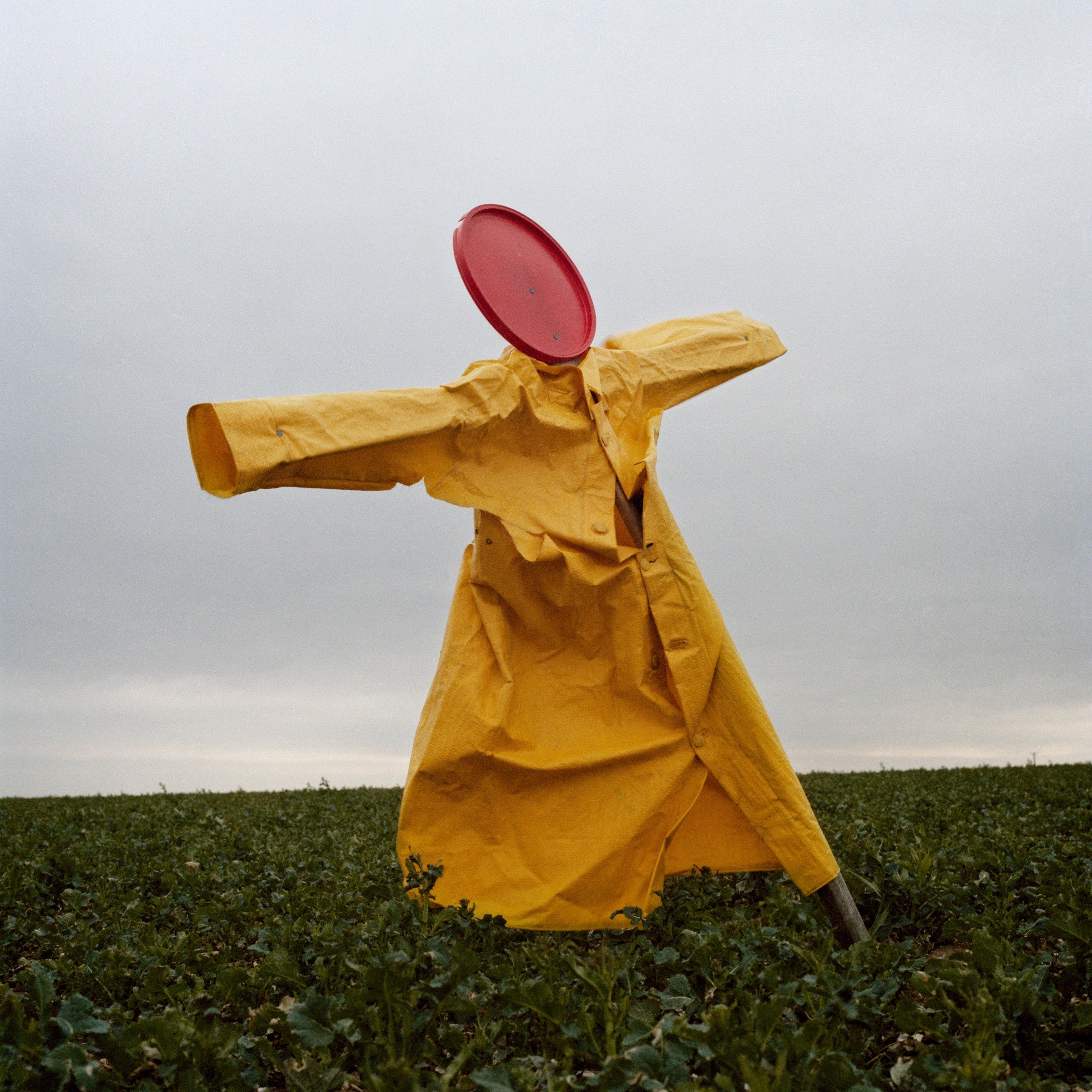 Some Thing means Everything to Somebody