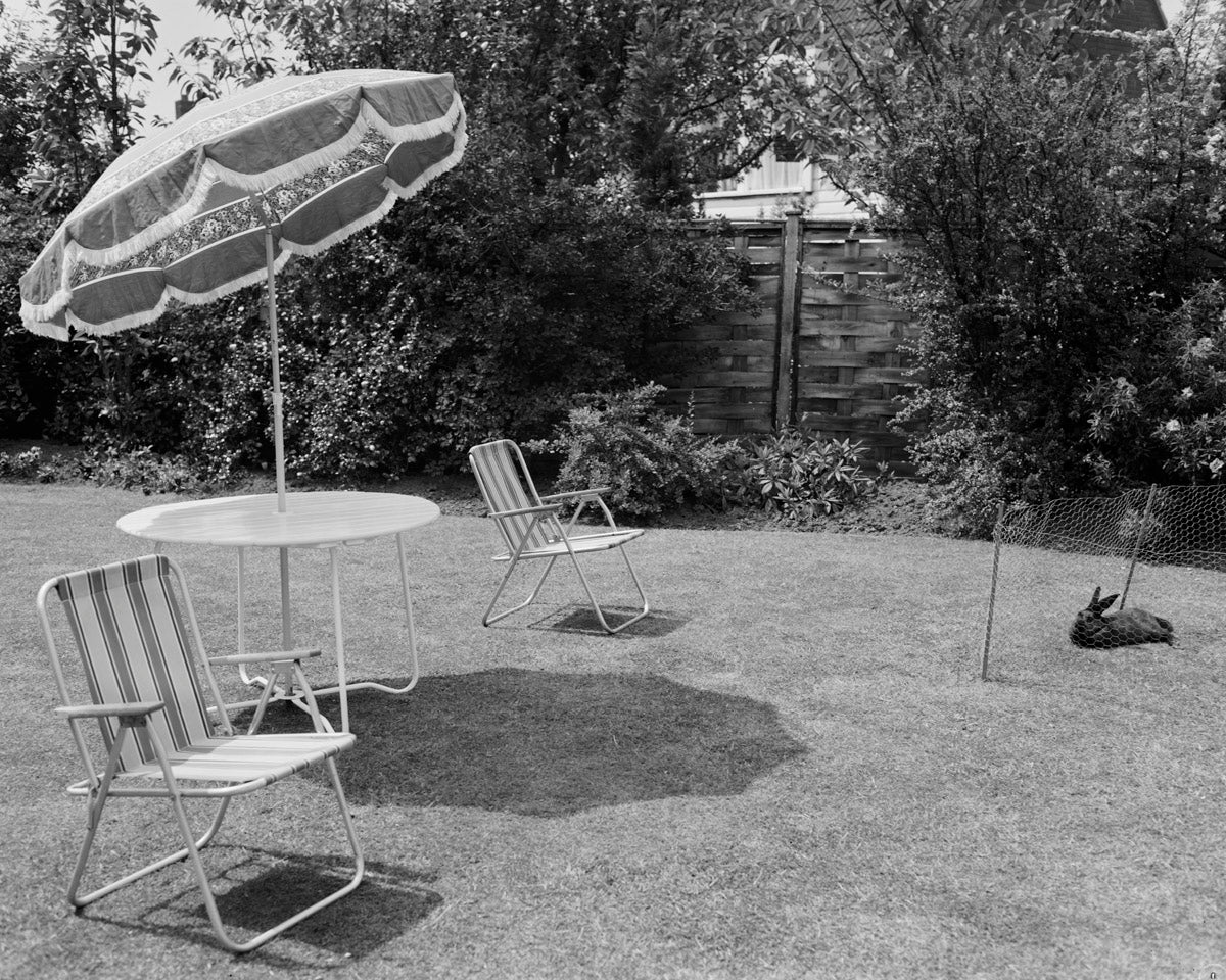 Looking at the Overlooked