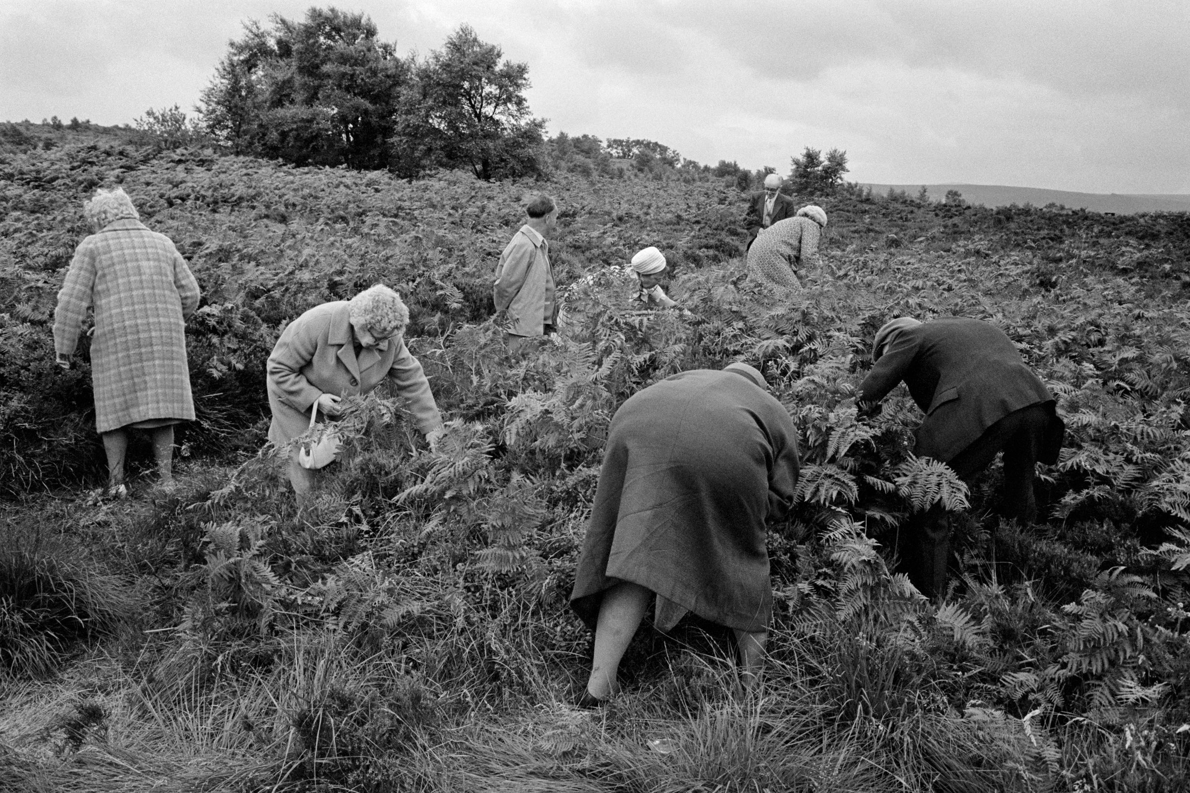 Early Works (First Edition)