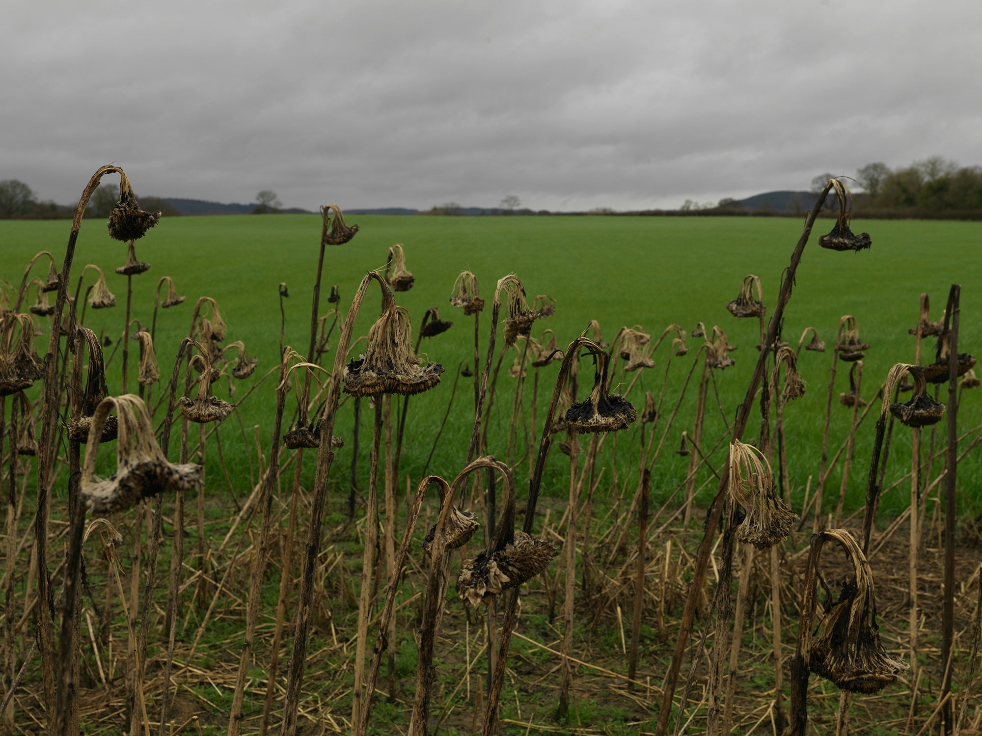 After 1066: Photographs of an English Landscape