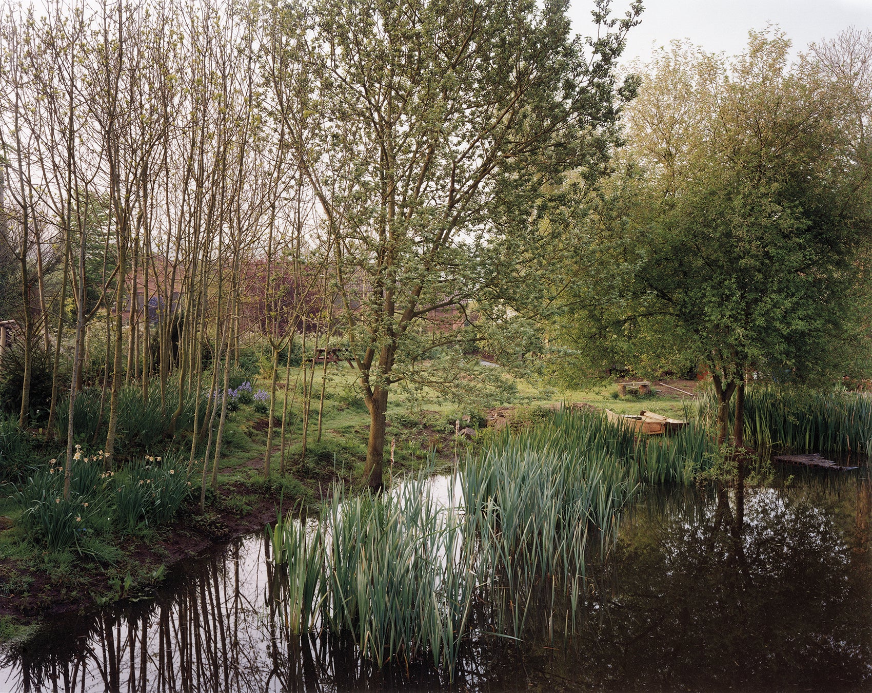 The Pond at Upton Pyne