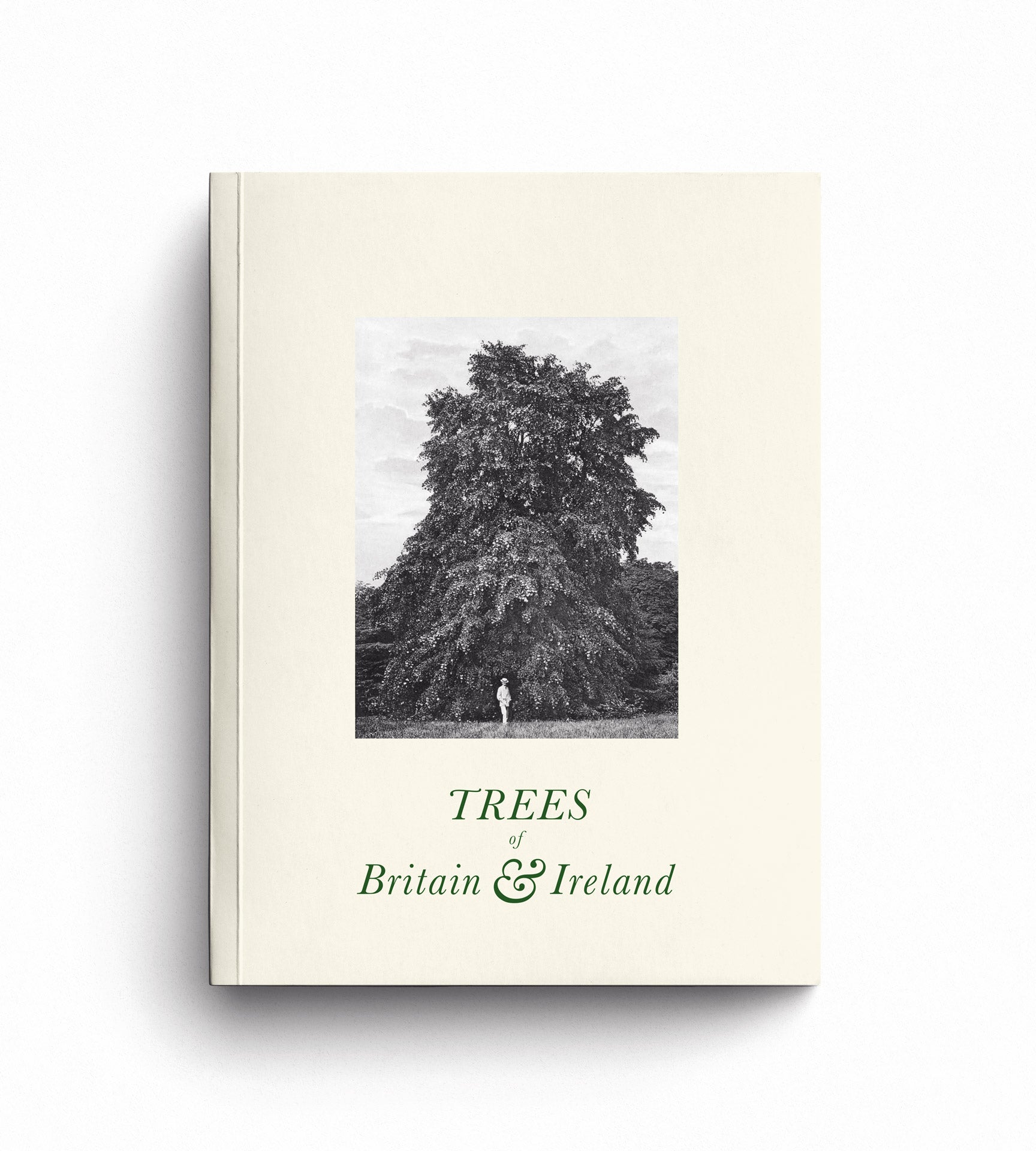 Trees of Great Britain and Ireland