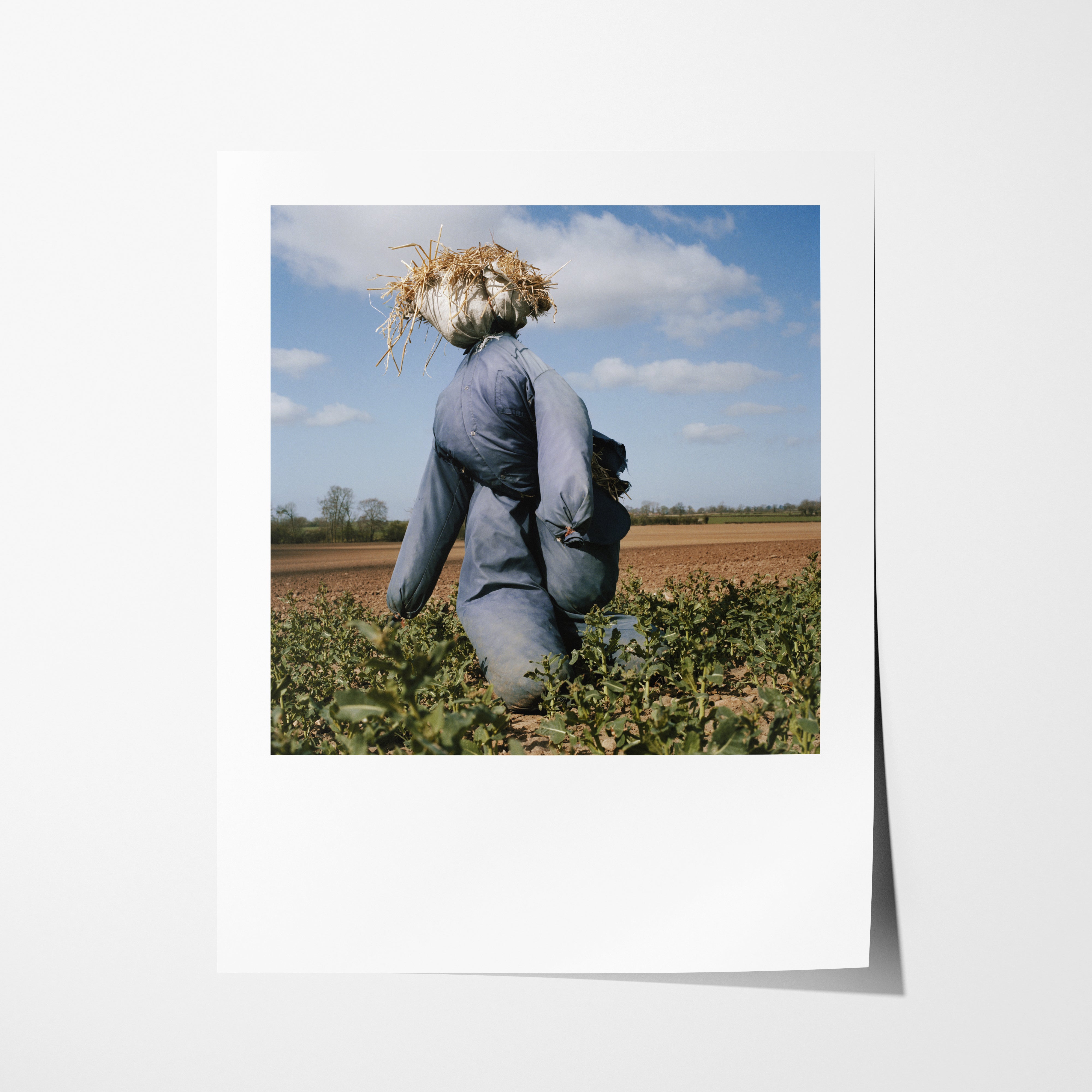 Scarecrow 20 - 16x20" Pigment Print