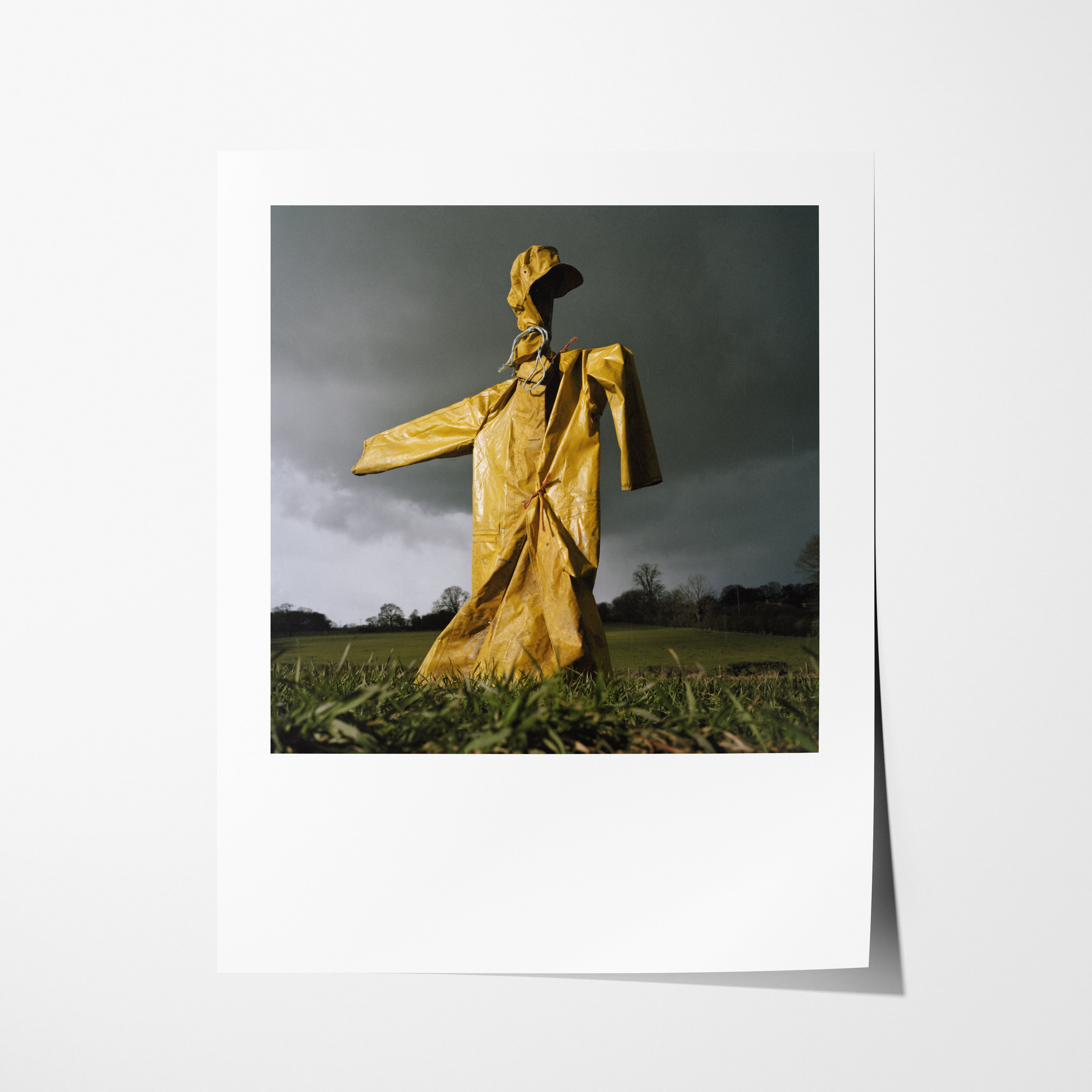 Scarecrow 53 - 16x20" Pigment Print