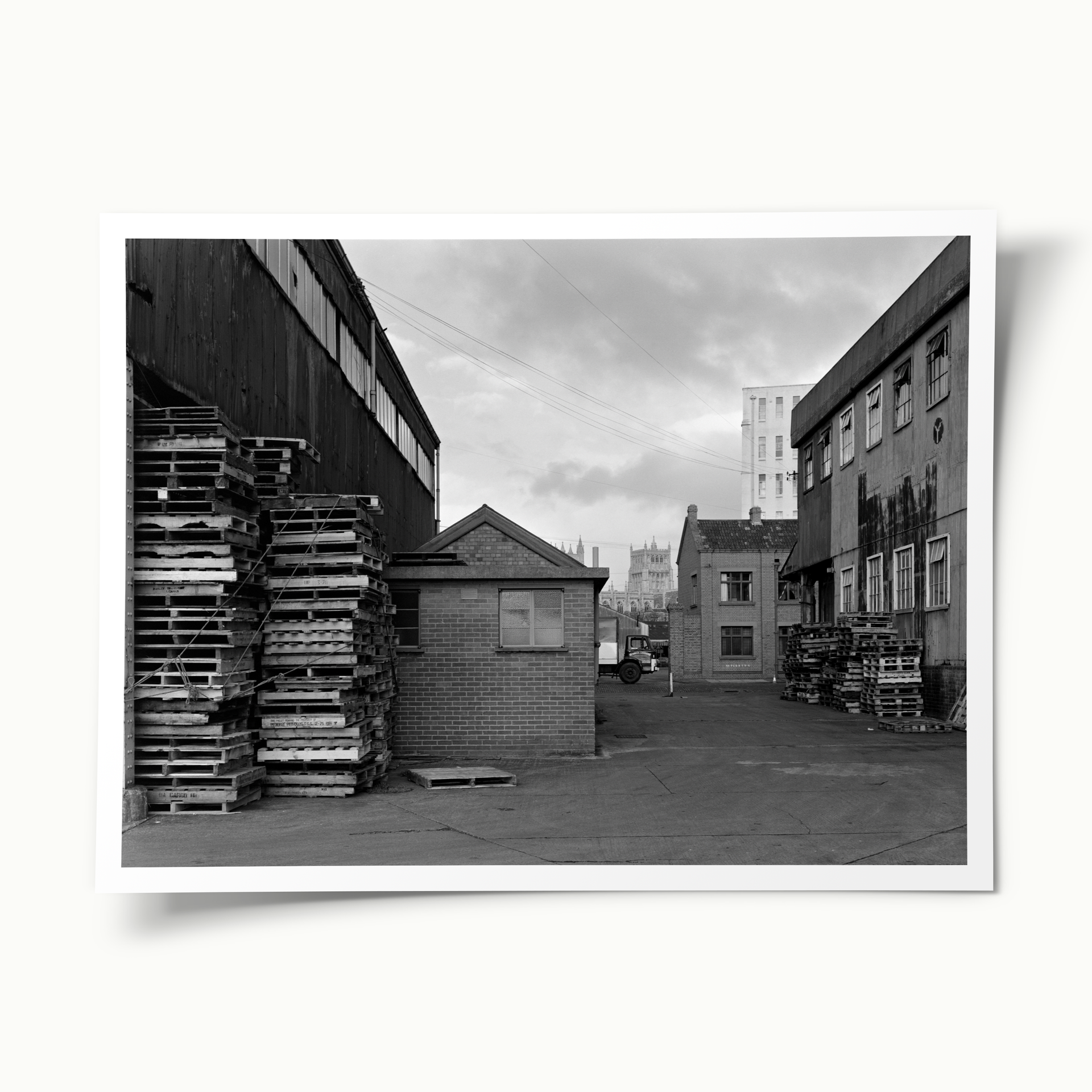 Canon’s Marsh 1980