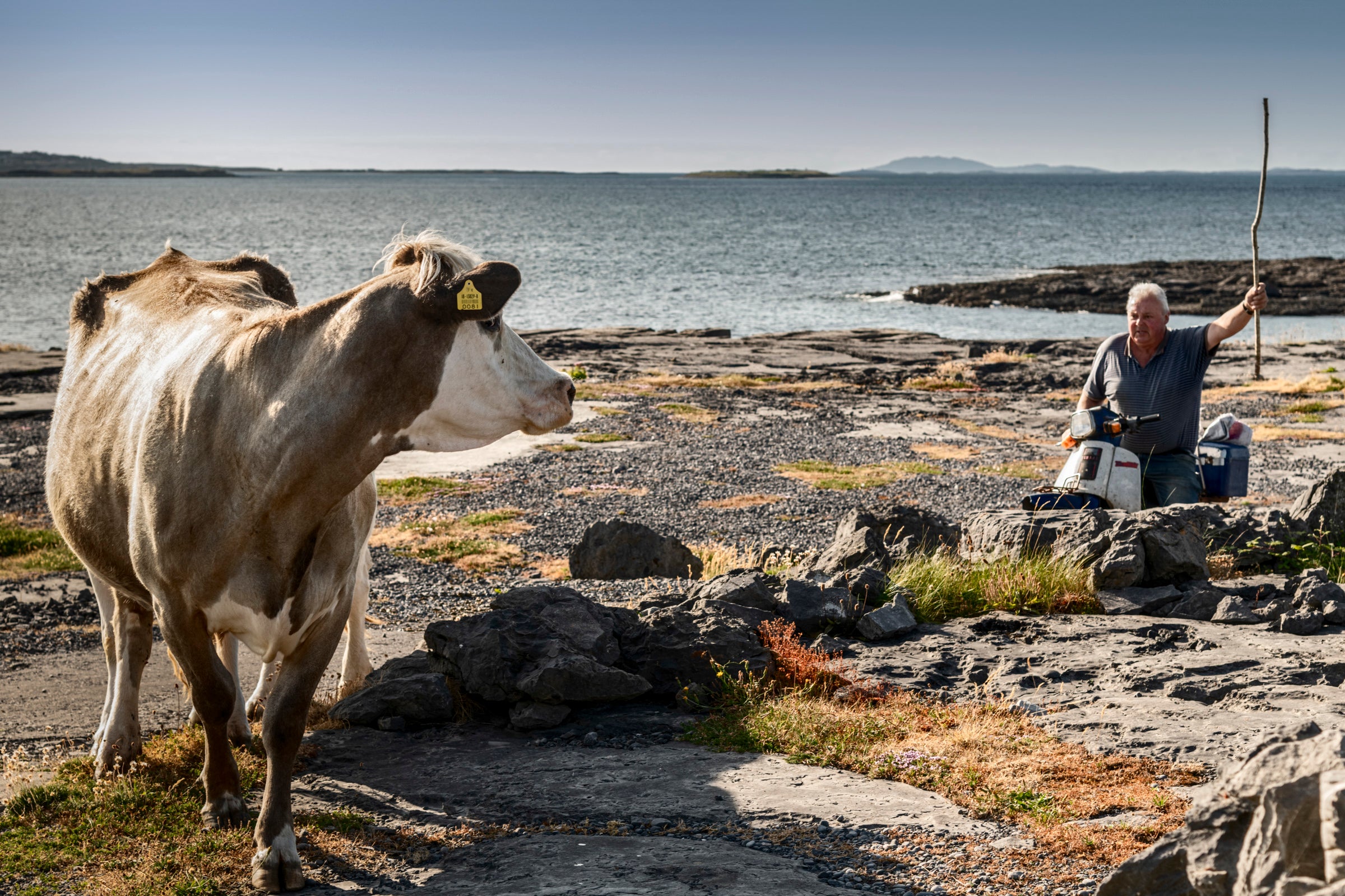 Inis Meáin 1973-2023