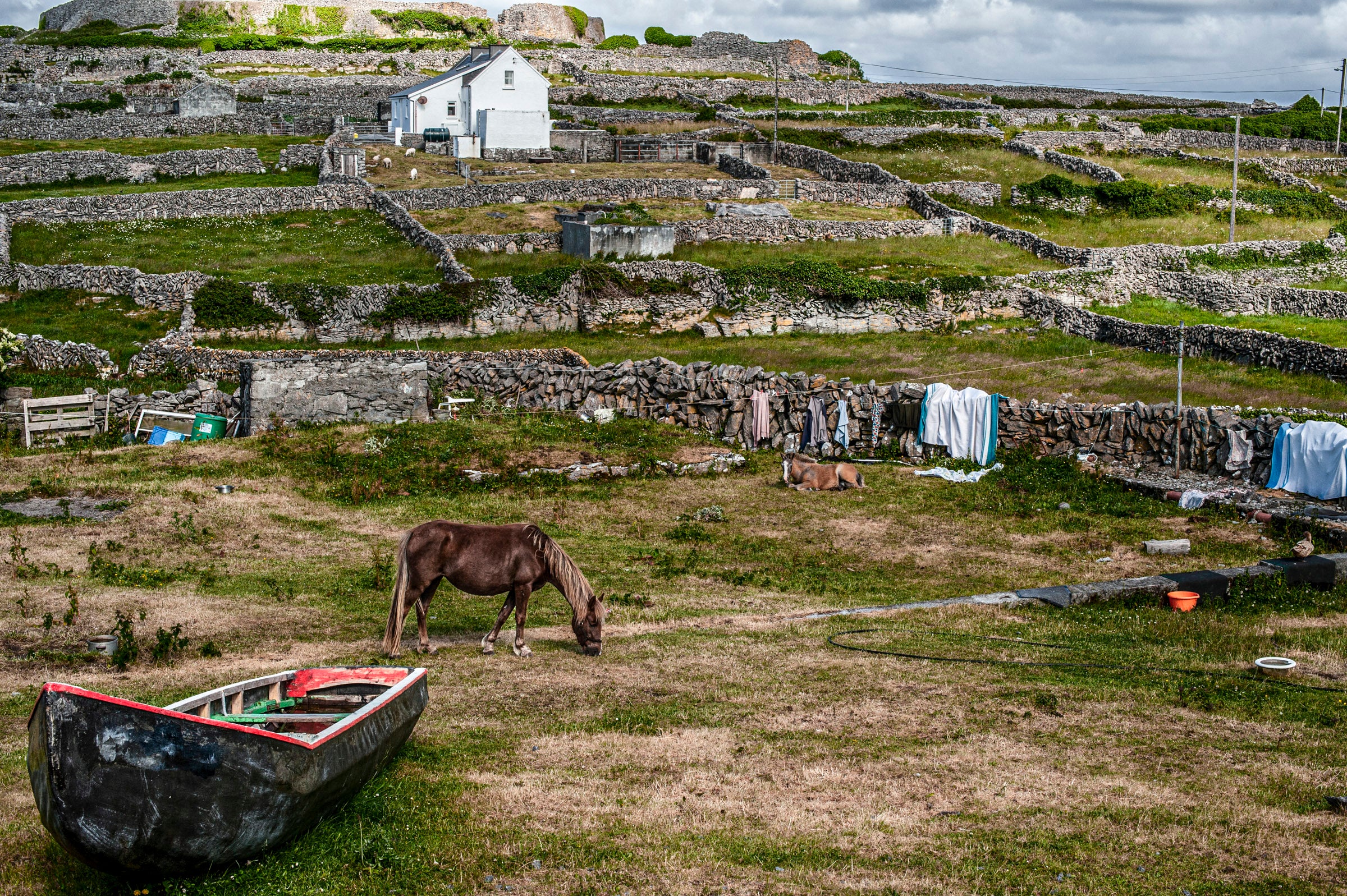 Inis Meáin 1973-2023