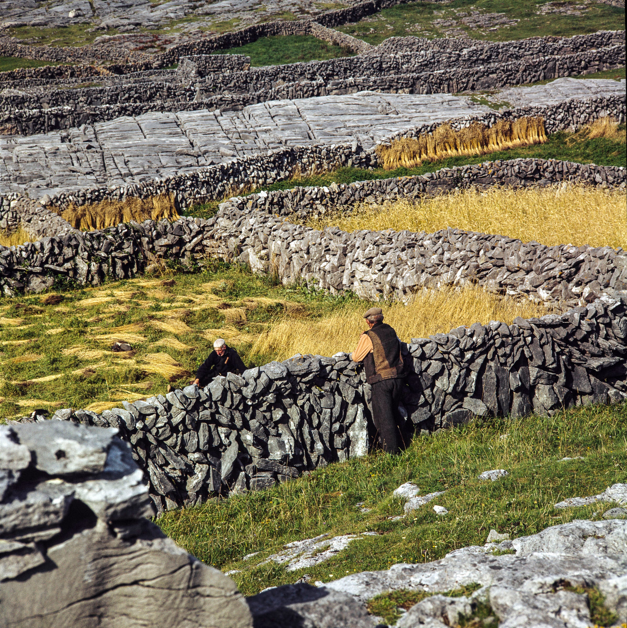 Inis Meáin 1973-2023