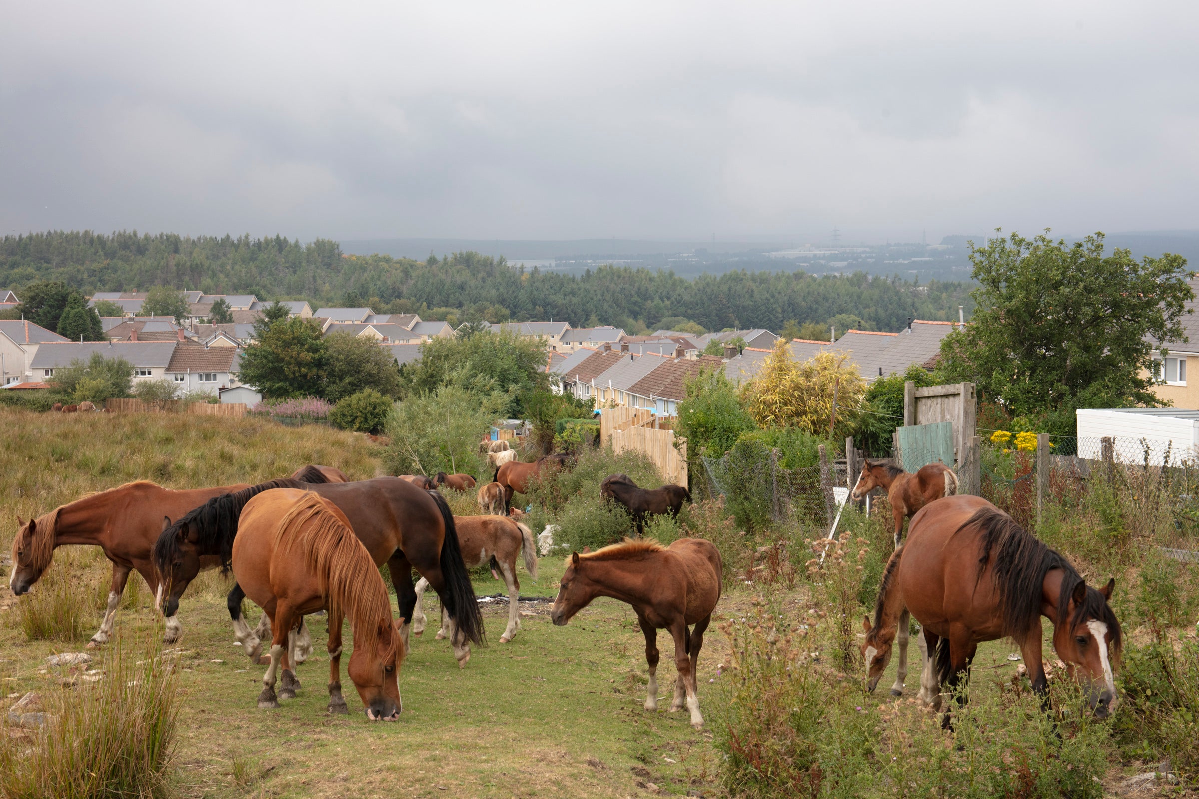 Cwm: The Fair Country