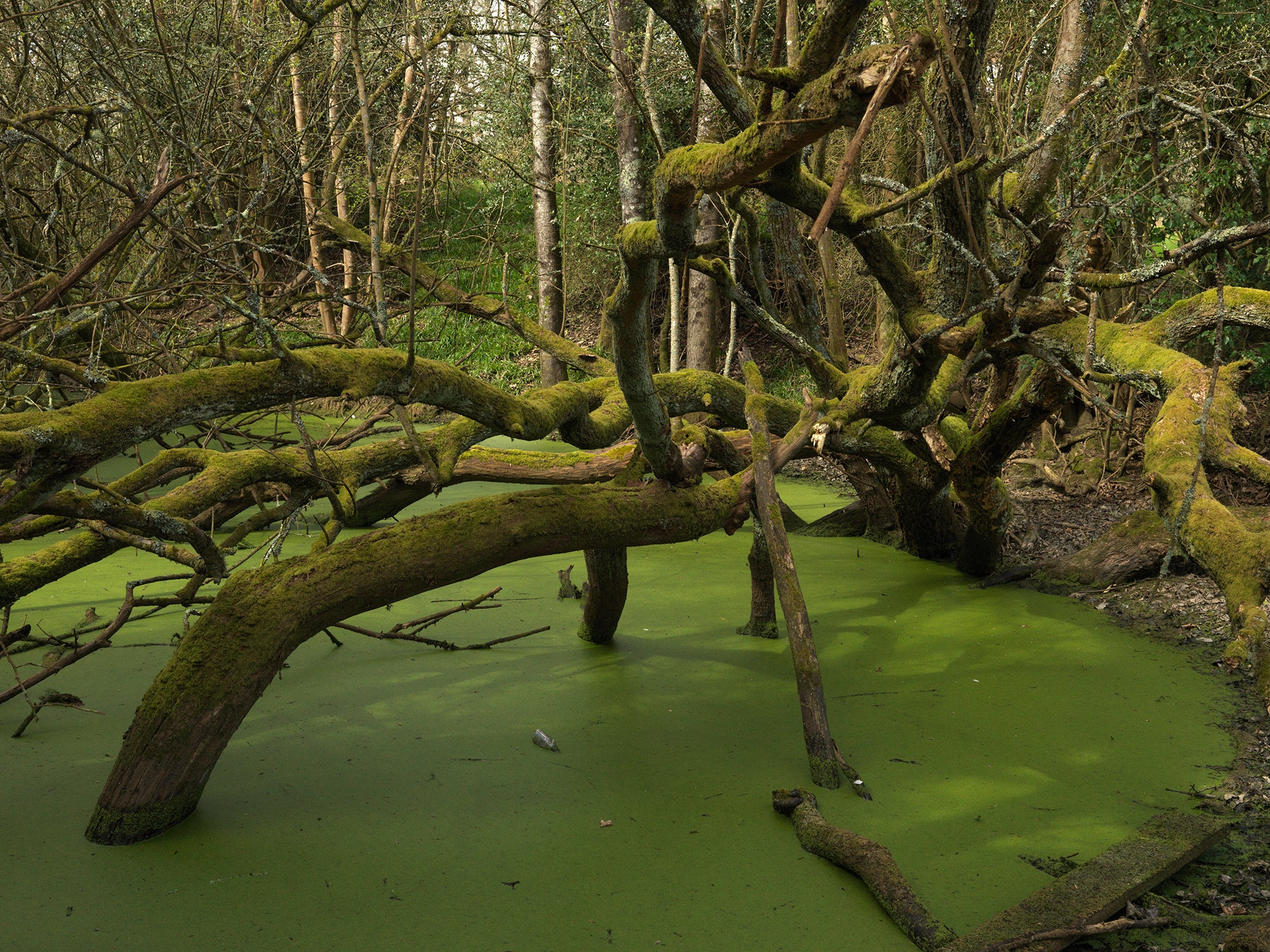 After 1066: Photographs of an English Landscape