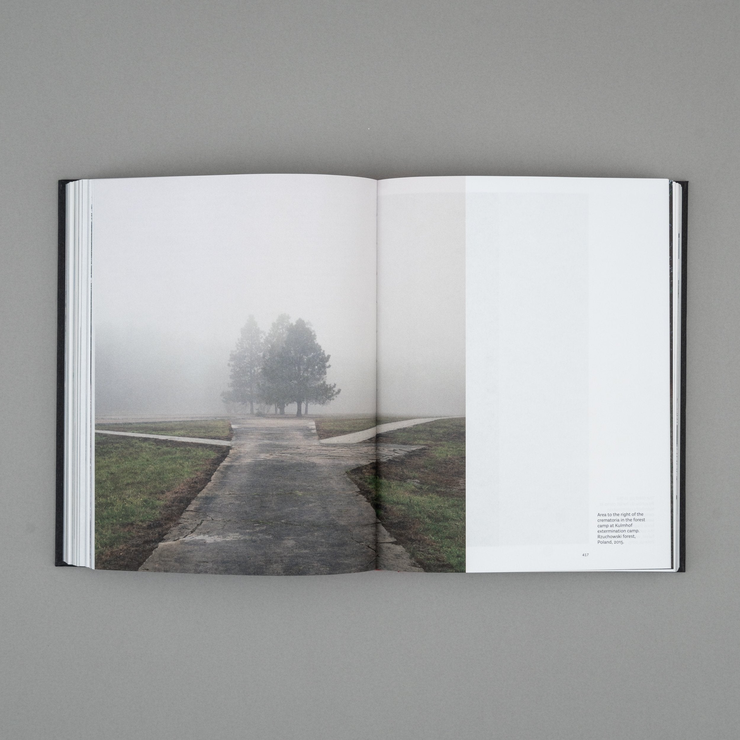 A Wounded Landscape - bearing witness to the Holocaust
