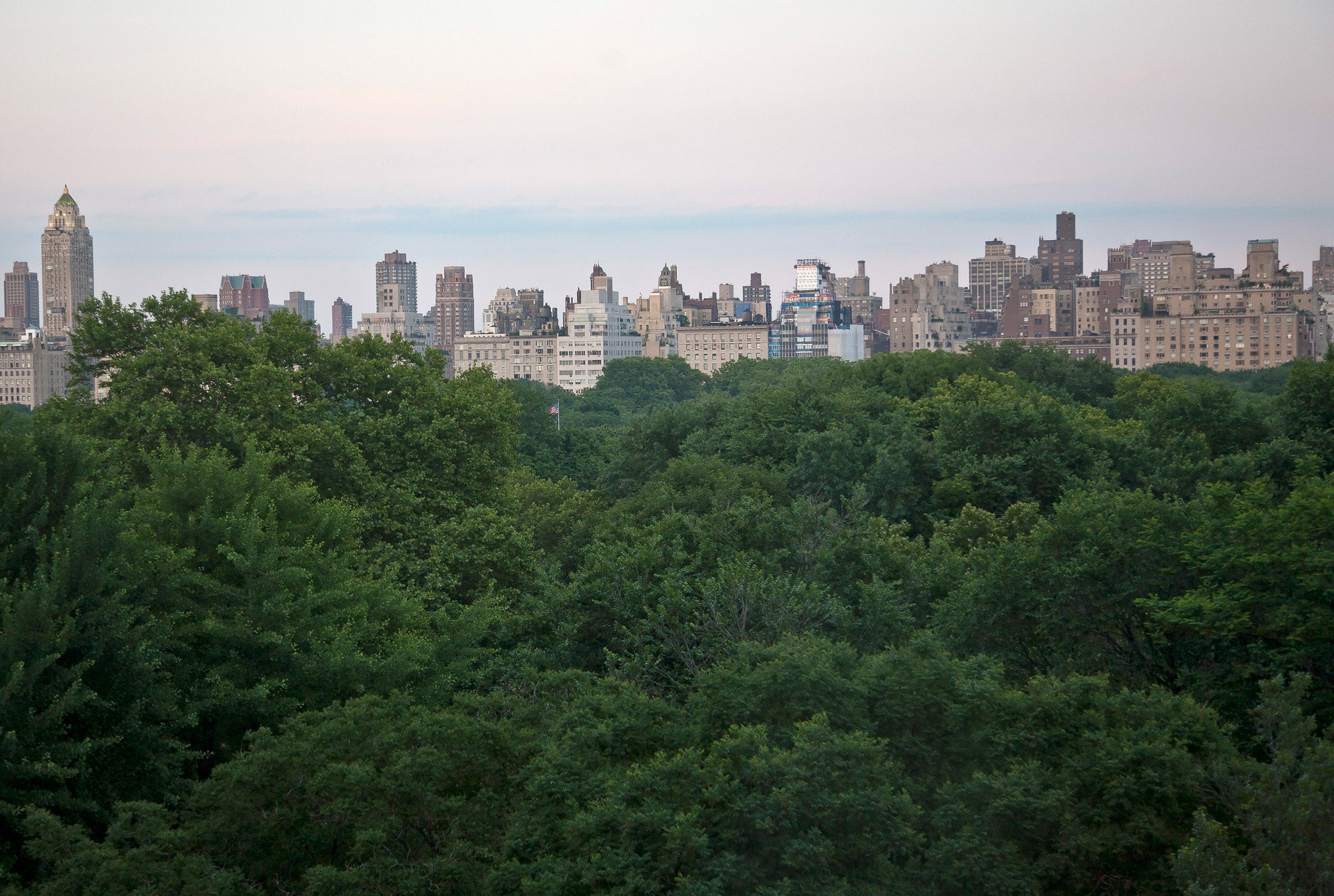 New York and the American Flag