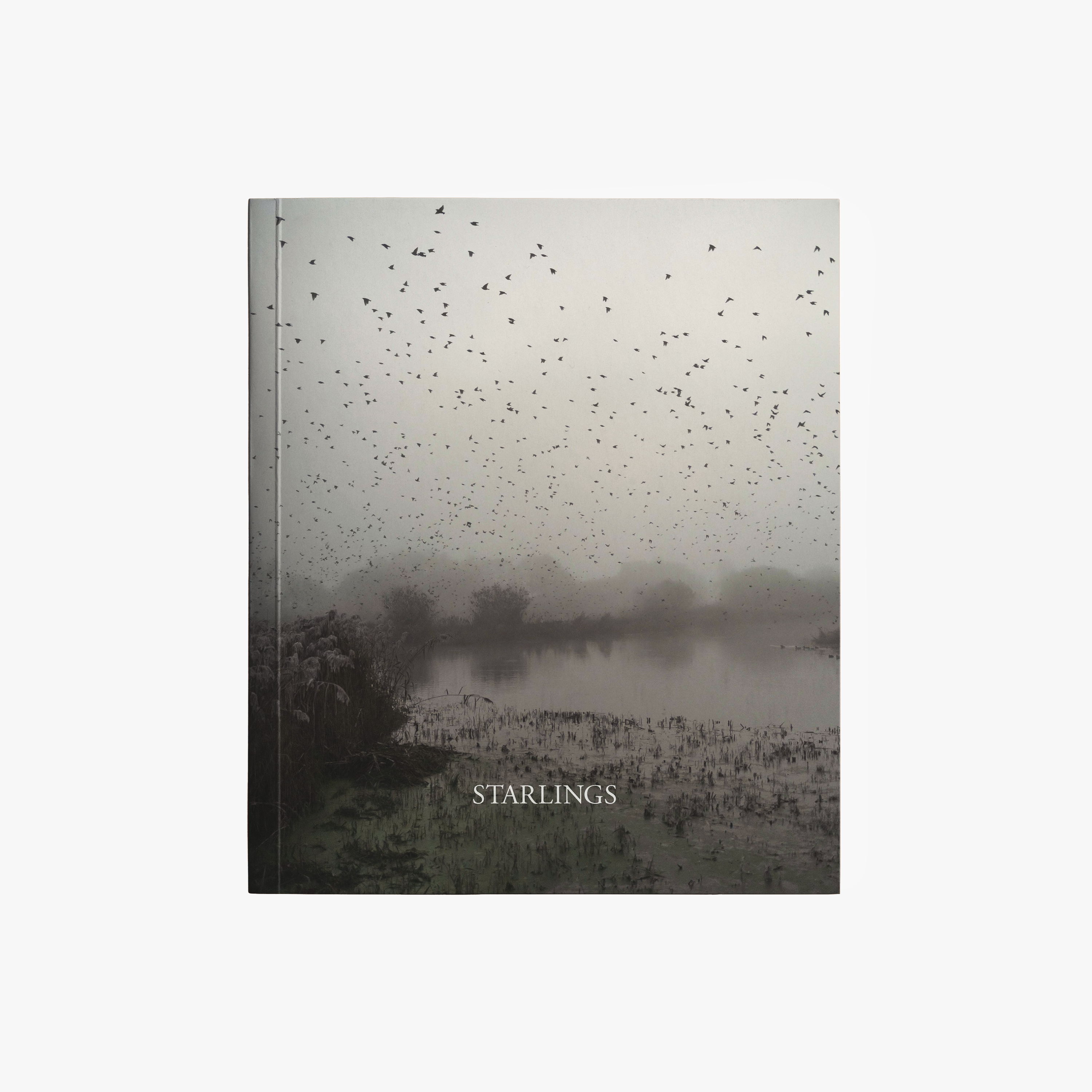 Starlings