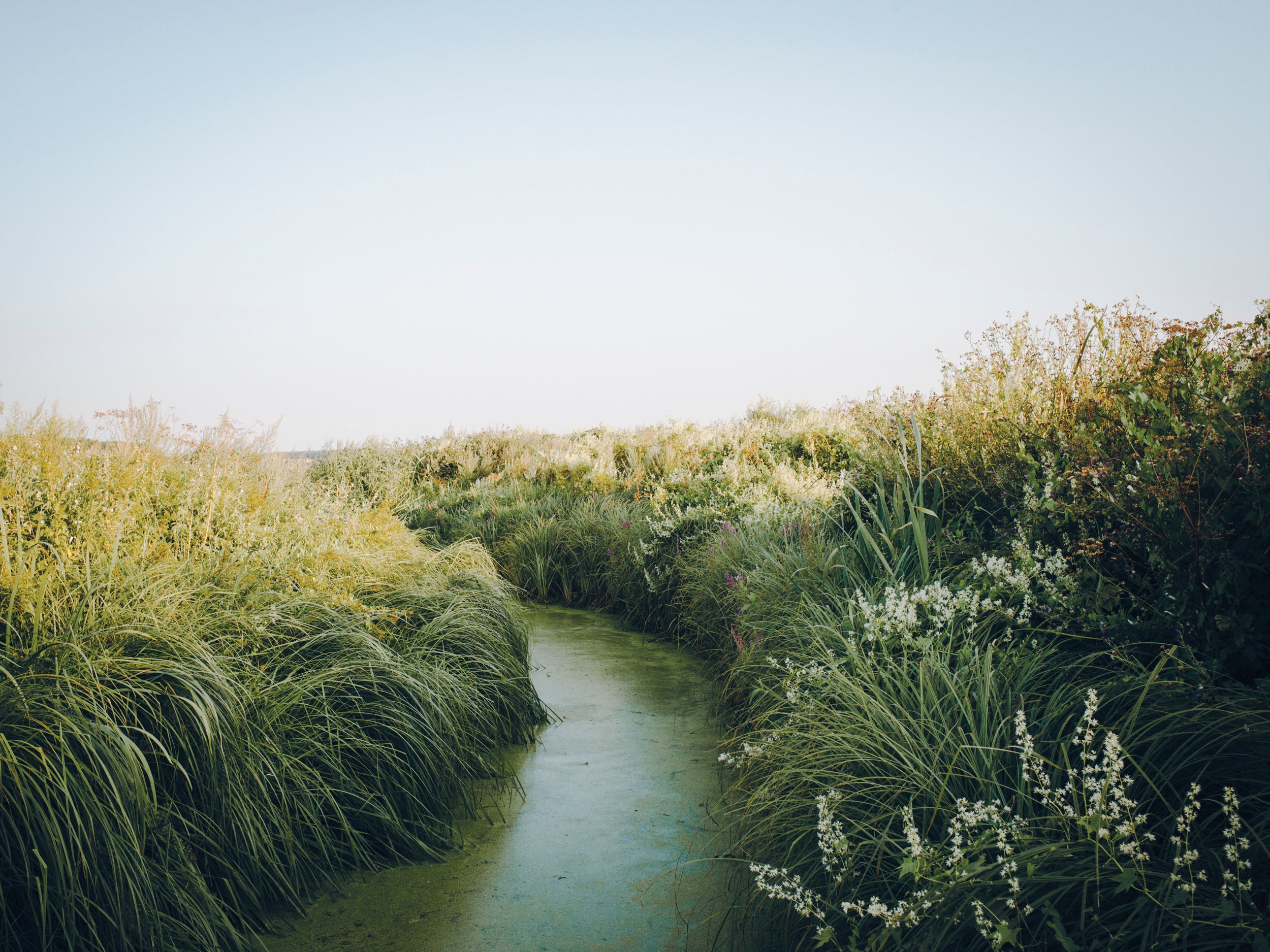 Travelogue 2 - A thousand days of longing