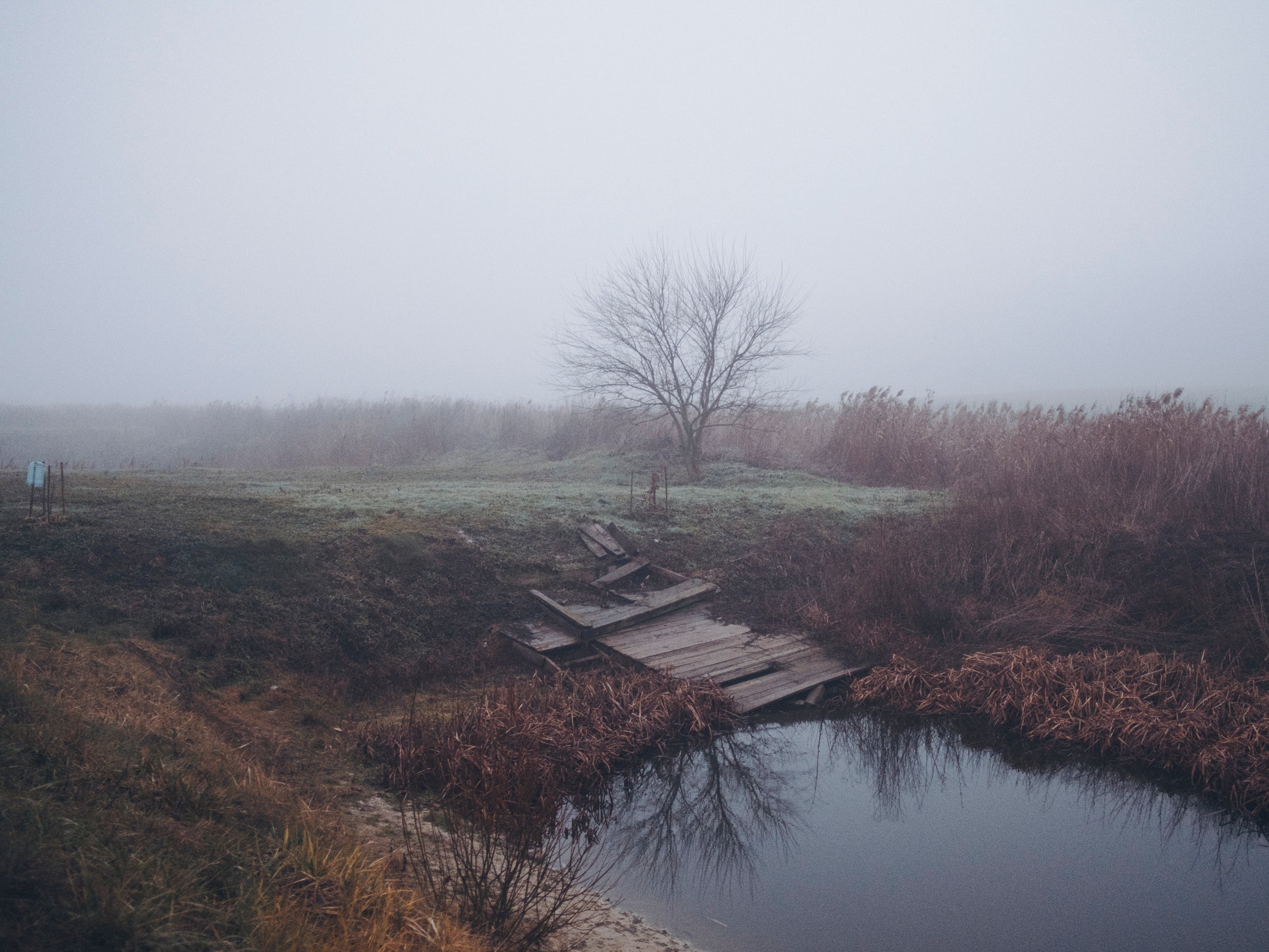 Travelogue 2 - A thousand days of longing