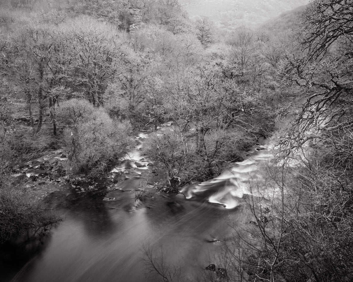The White Wood