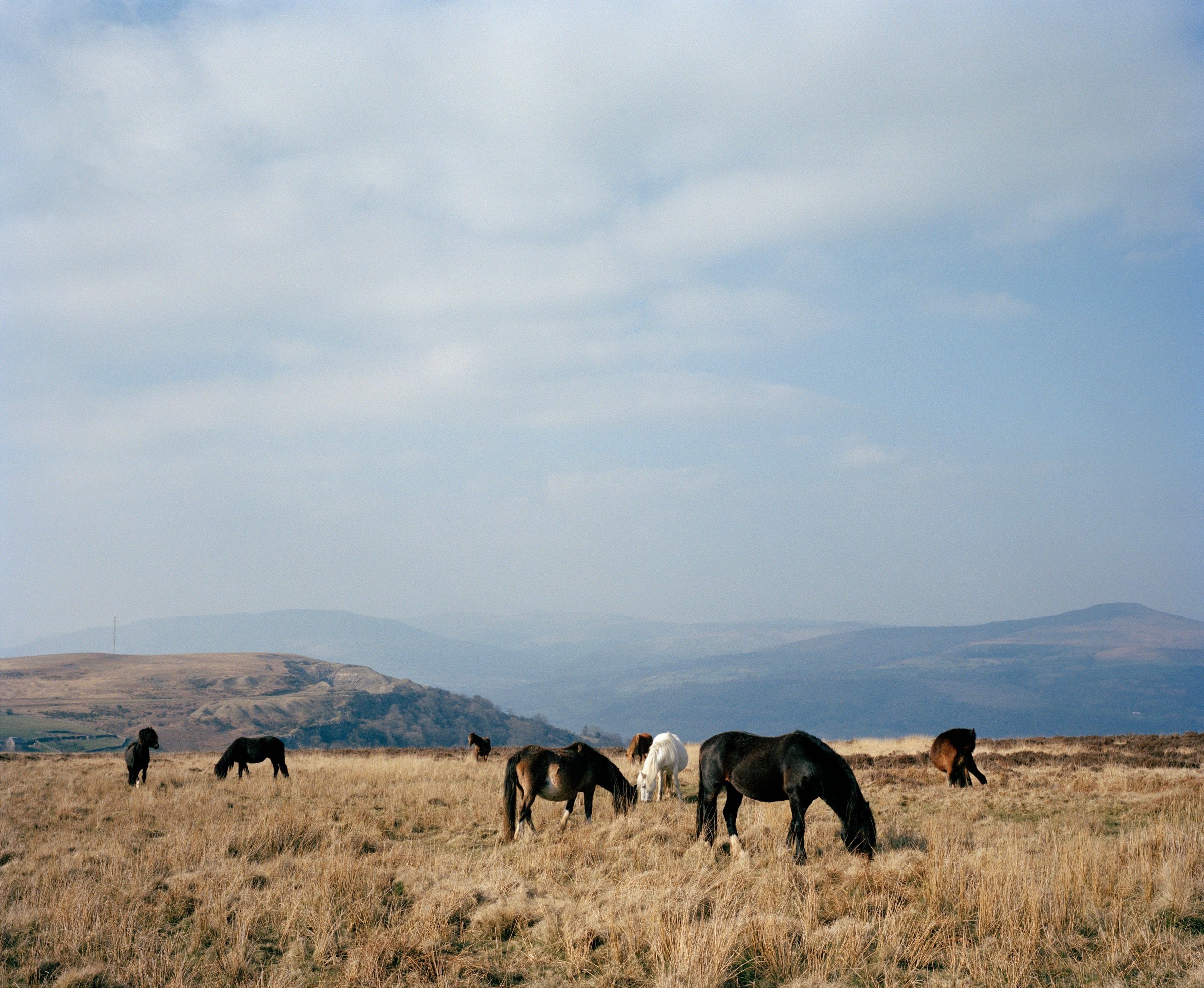 Cwm: The Fair Country