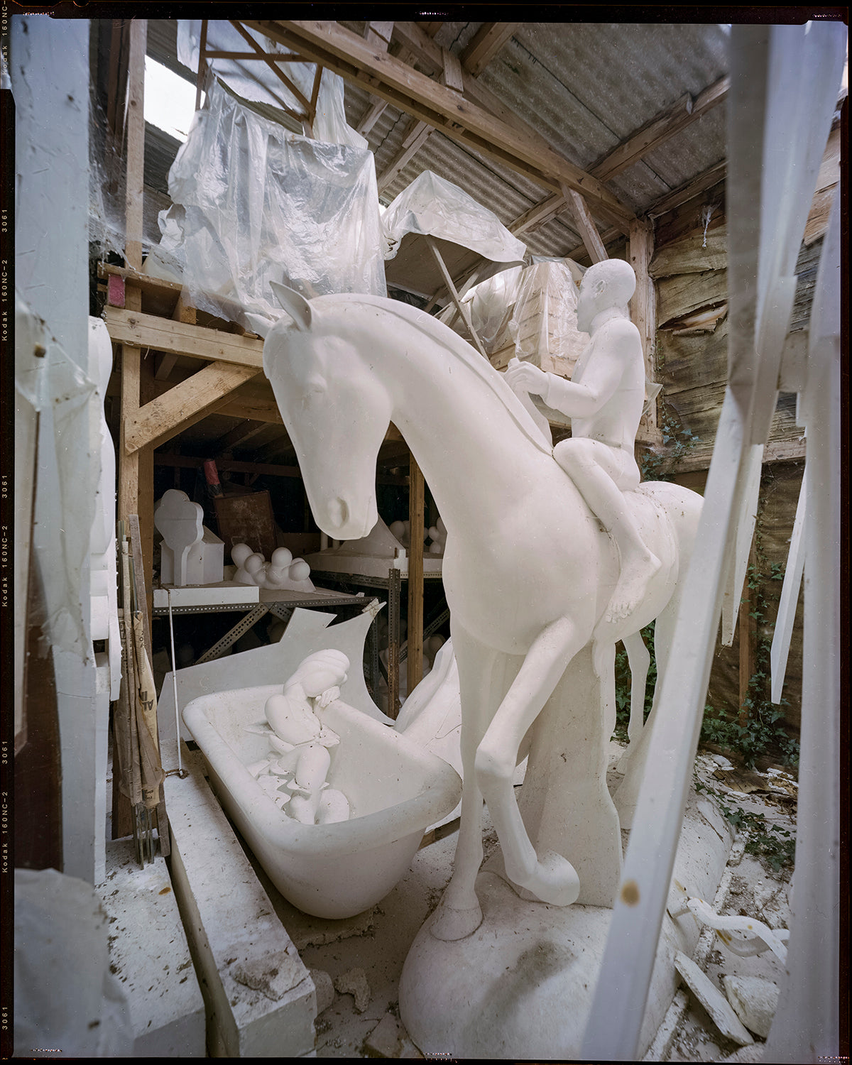 Ray's Sheds