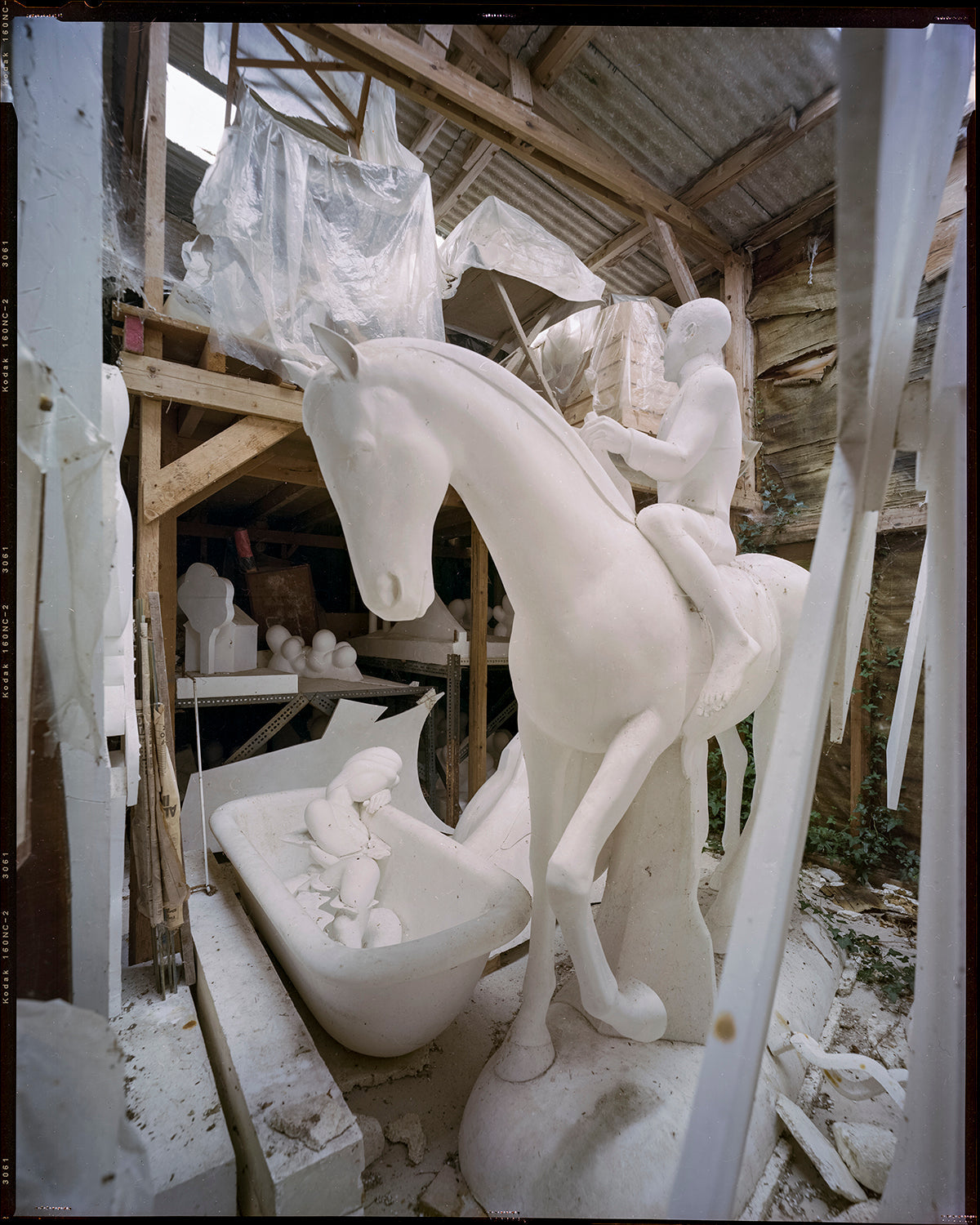 Ray's Sheds